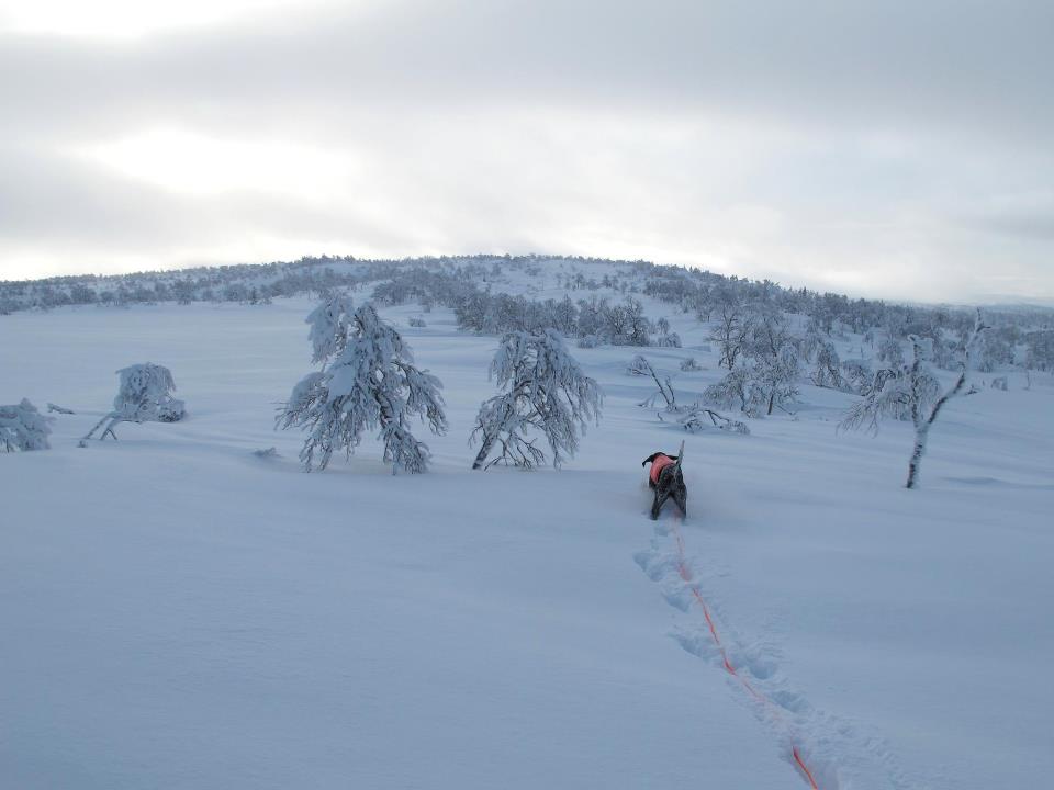 644695_10151036355351277_921423622_n