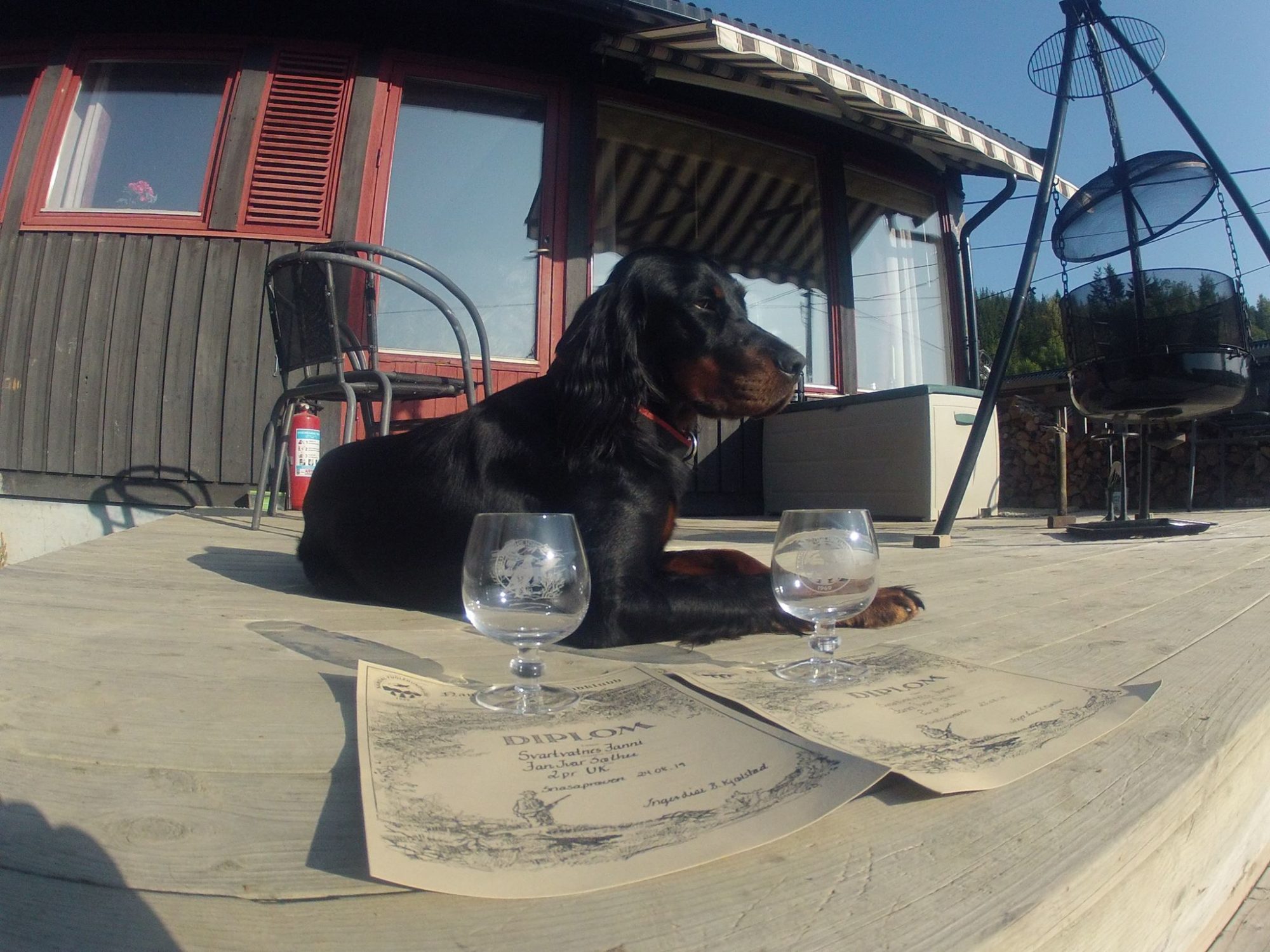Ole Ivars Bare En Hund